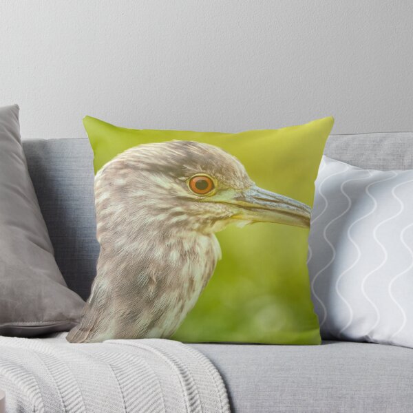 Item preview, Night Heron Portrait in Natural Light designed and sold by jvnimages.