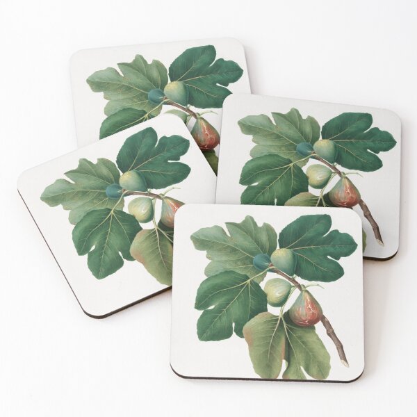 Item preview, Common Fig designed and sold by BlueSpecsStudio.