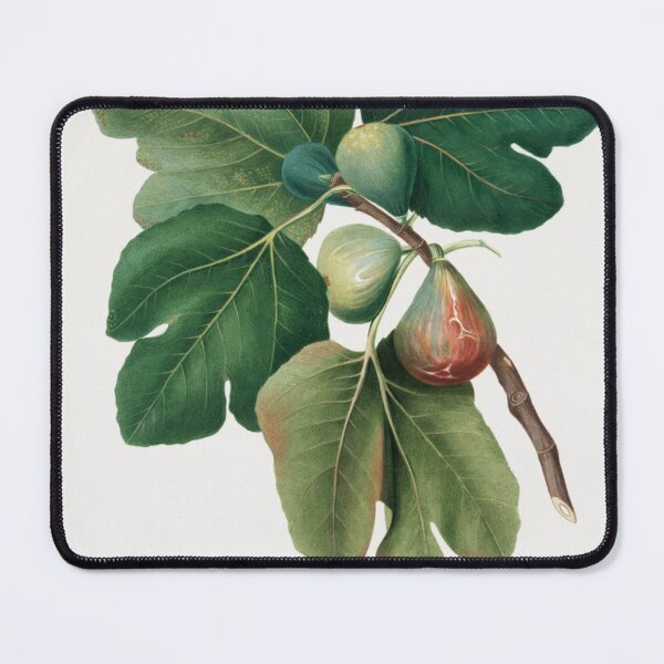 Item preview, Common Fig designed and sold by BlueSpecsStudio.