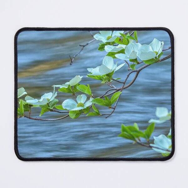 Item preview, Dogwood Blossoms by the River designed and sold by jvnimages.