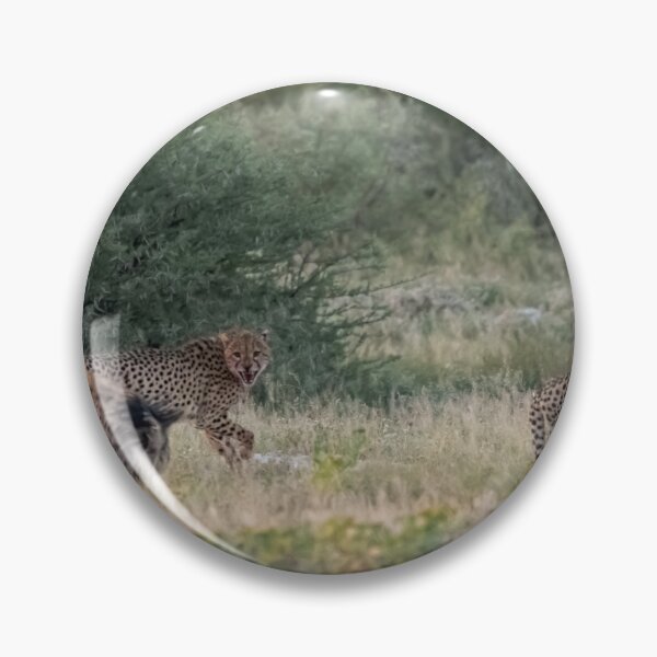 Item preview, The Thieves of Etosha — Hyena Steals the Cheetahs’ Kill, Namibia ; part 1 designed and sold by DavideAntoniani.