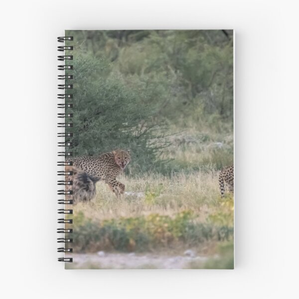 Item preview, The Thieves of Etosha — Hyena Steals the Cheetahs’ Kill, Namibia ; part 1 designed and sold by DavideAntoniani.