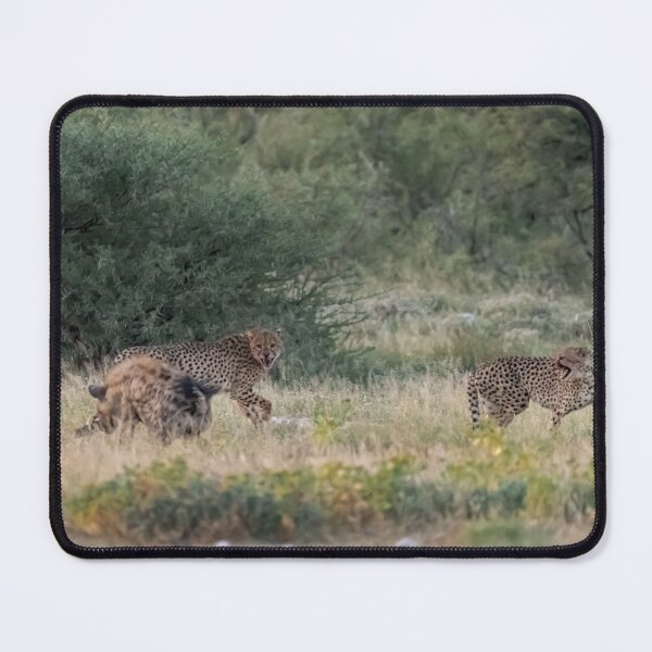 Item preview, The Thieves of Etosha — Hyena Steals the Cheetahs’ Kill, Namibia ; part 1 designed and sold by DavideAntoniani.