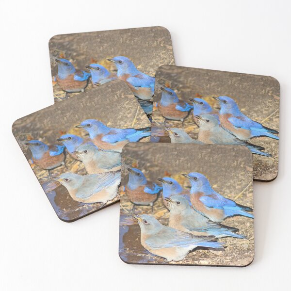Item preview, Beautiful Western Blue Birds  designed and sold by simonjayphotos.
