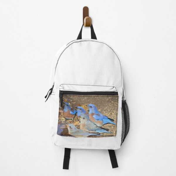 Item preview, Beautiful Western Blue Birds  designed and sold by simonjayphotos.