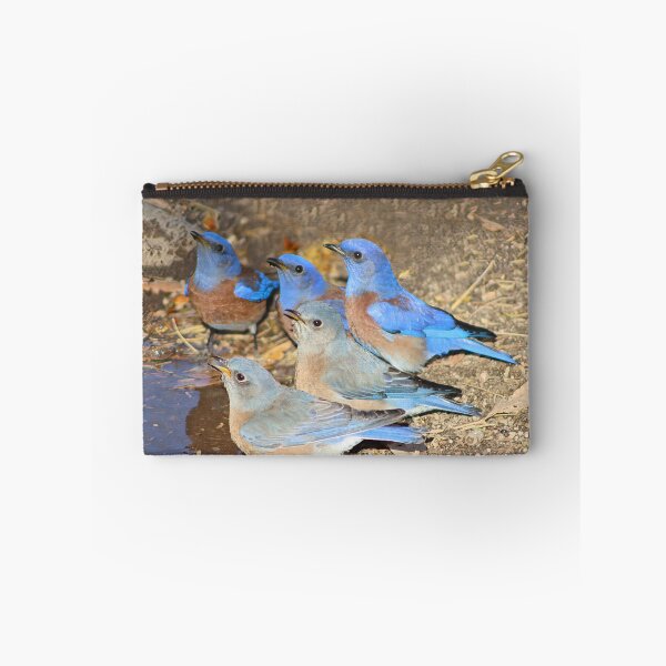 Item preview, Beautiful Western Blue Birds  designed and sold by simonjayphotos.