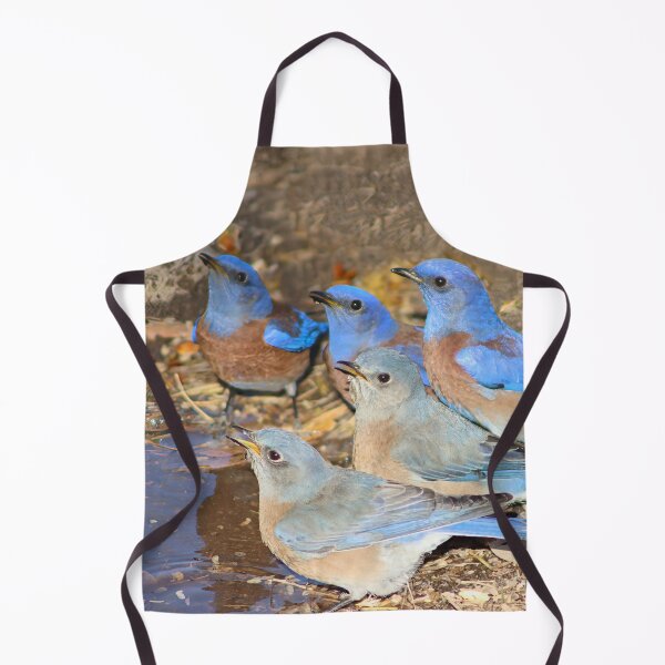 Item preview, Beautiful Western Blue Birds designed and sold by simonjayphotos.