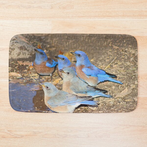 Item preview, Beautiful Western Blue Birds  designed and sold by simonjayphotos.