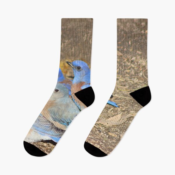 Item preview, Beautiful Western Blue Birds  designed and sold by simonjayphotos.