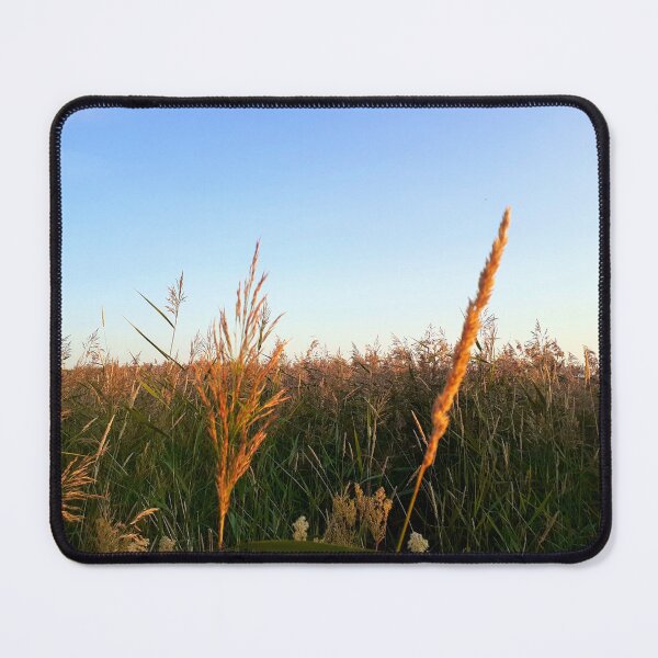 Item preview, Autumn reeds designed and sold by NatureOnItems.