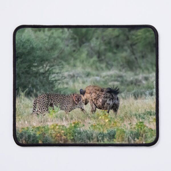 Item preview, Defiance — Cheetah Faces the Hyena, Etosha Namibia ,Part 2 designed and sold by DavideAntoniani.