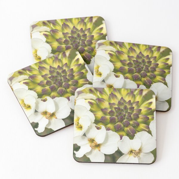 Item preview, San Francisco Wallflowers with Buds  designed and sold by jvnimages.