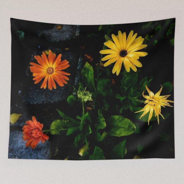 Item preview, Hostage Release designed and sold by Steve Walser.