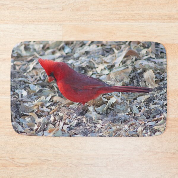 Item preview, Outstanding Male Cardinal  designed and sold by simonjayphotos.