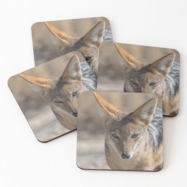 Item preview, The Watcher of Etosha — Black-backed Jackal in the Dust designed and sold by DavideAntoniani.