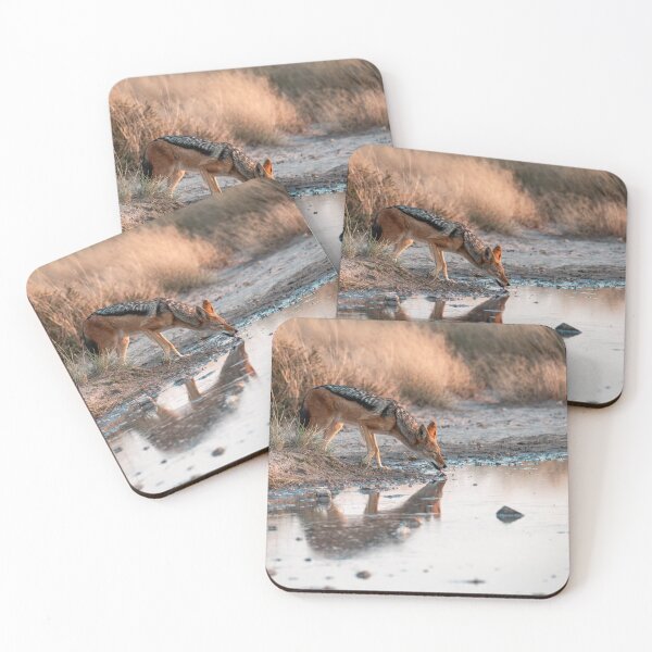 Item preview, The Quiet Thirst — Black-backed Jackal Drinking at Sunset, Etosha designed and sold by DavideAntoniani.
