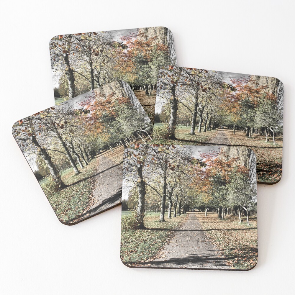 Item preview, Coasters (Set of 4) designed and sold by RachelJBowler.