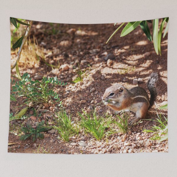 Item preview, Chipmunk Snacking Greens in Arizona Desert designed and sold by Travelways.