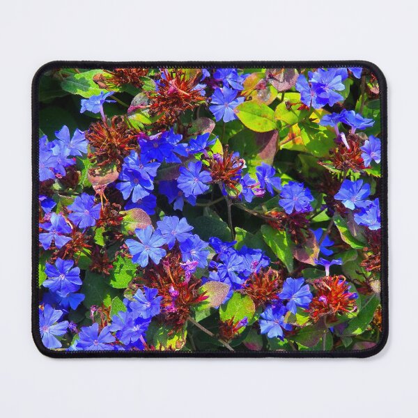 Item preview, Chinese Plumbago designed and sold by bjtomiko.