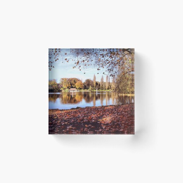Item preview, Autumn Colours designed and sold by Rachel J Bowler.