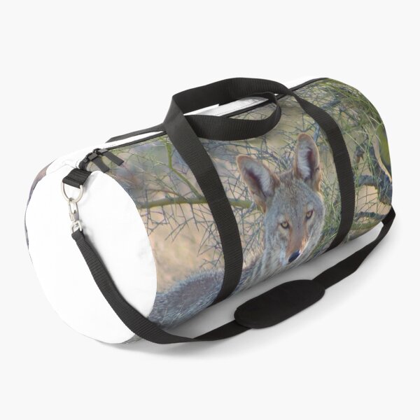 Item preview, Stunning Coyote Looking At You designed and sold by simonjayphotos.