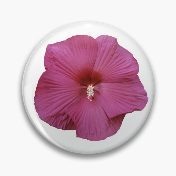 Item preview, Isolated Red Hibiscus 9-18-25 designed and sold by Thomasyoung.