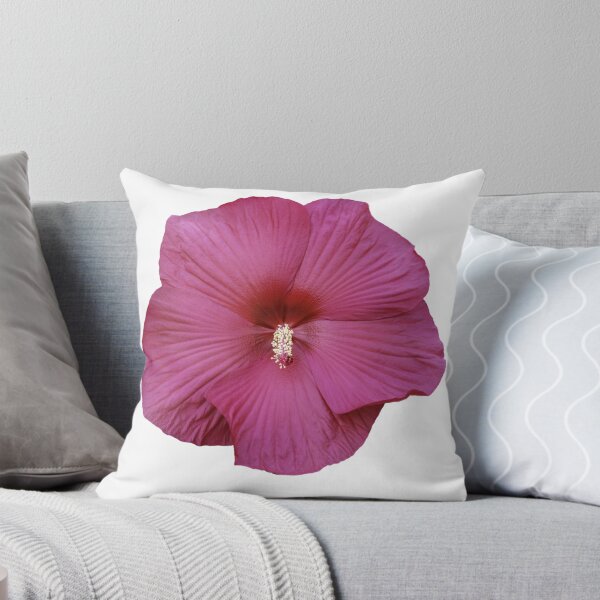 Item preview, Isolated Red Hibiscus 9-18-25 designed and sold by Thomasyoung.