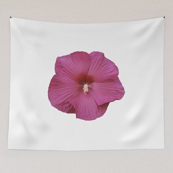 Item preview, Isolated Red Hibiscus 9-18-25 designed and sold by Thomasyoung.