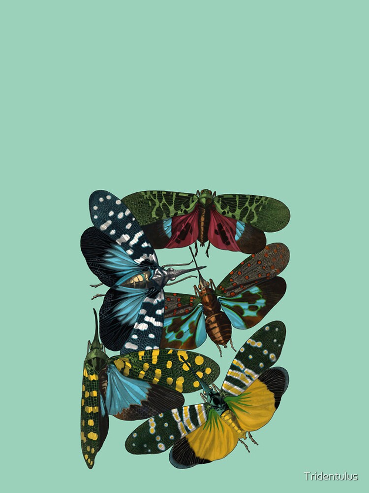 Thumbnail 4 of 4, iPhone Case, Colorful Insects designed and sold by Tridentulus.