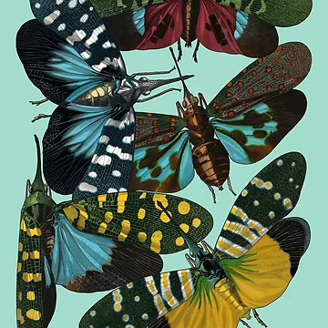 Artwork thumbnail, Colorful Insects by Tridentulus