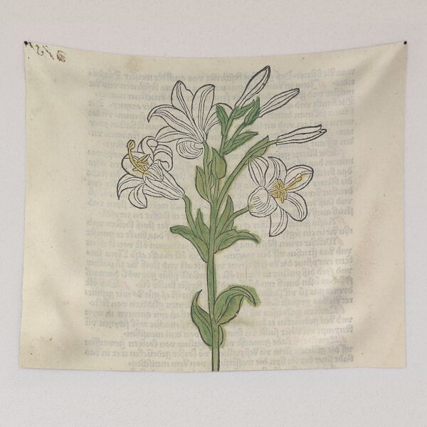 Item preview, Illuminated White Lily 1485 designed and sold by AnimaliaStar.