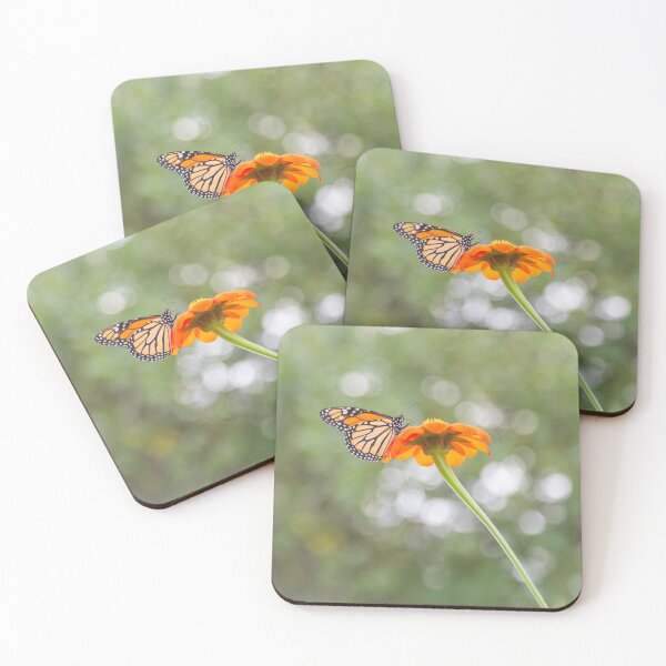 Item preview, Monarch Butterfly on Mexican Sunflower 9-18-25 designed and sold by Thomasyoung.