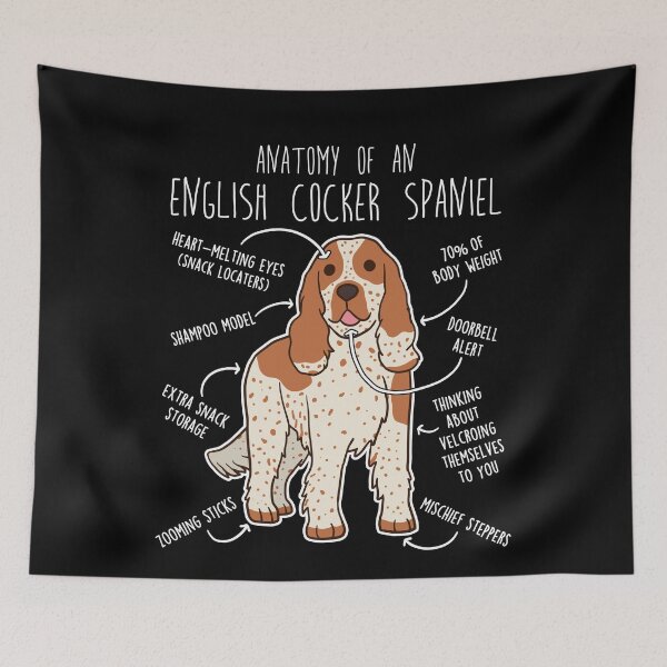 Item preview, Orange Roan English Cocker Spaniel Dog Anatomy designed and sold by Clara Hollins.