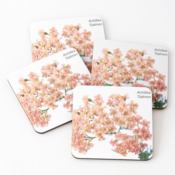 Item preview, Achillea millefolium 'Salmon Beauty'   designed and sold by Chris Burrows.