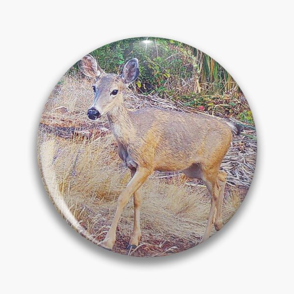 Item preview, A Blacktail Doe near the Pond designed and sold by Wonders Of Paradise.