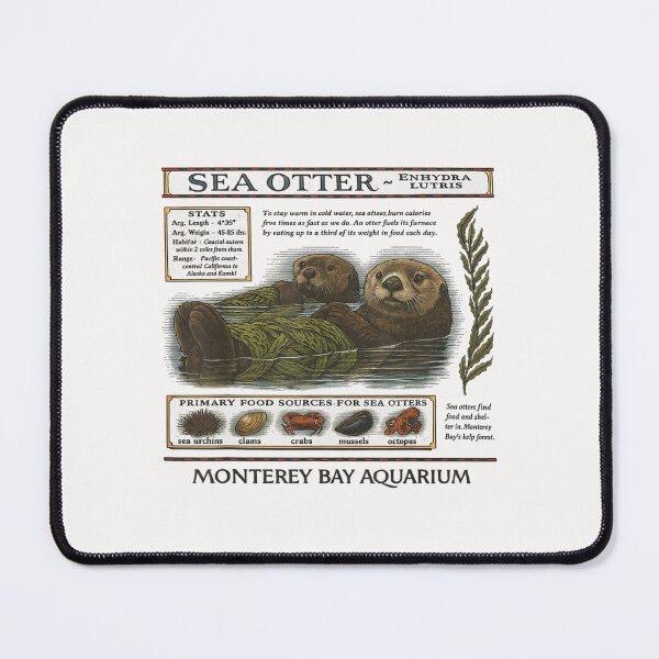 Item preview, Vintage Sea Otter Monterey California 90's Aquarium Lover designed and sold by CosmicCirrus.