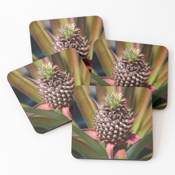 Item preview, Piña joven creciendo bajo el sol tropical designed and sold by franck380.