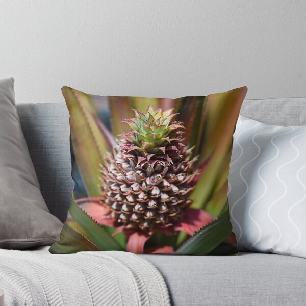 Item preview, Piña joven creciendo bajo el sol tropical designed and sold by franck380.