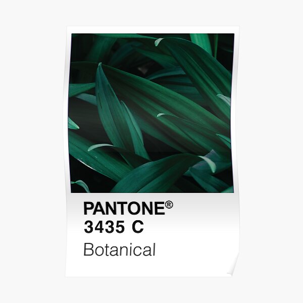 Color Swatch - Green Botanical Plant Poster