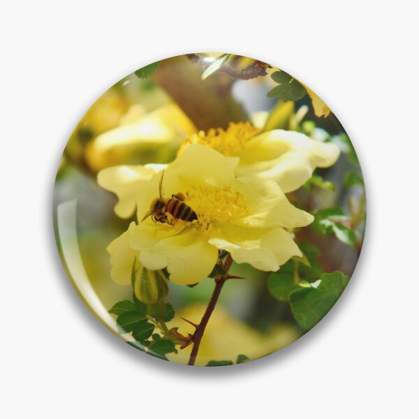 Item preview, Yellow rose with Bee designed and sold by cbrpix.