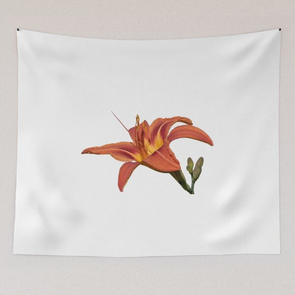 Item preview, Isolated Lily 2018 designed and sold by Thomasyoung.