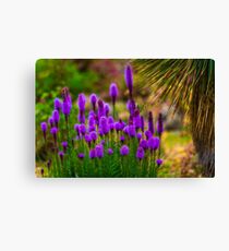 Flower macro Canvas Print