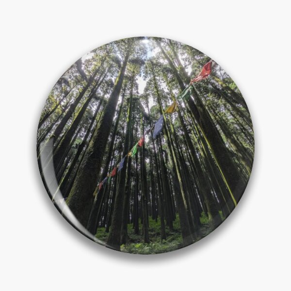 Item preview, Skyward View of Tall Forest Trees designed and sold by ponstreetphoto.