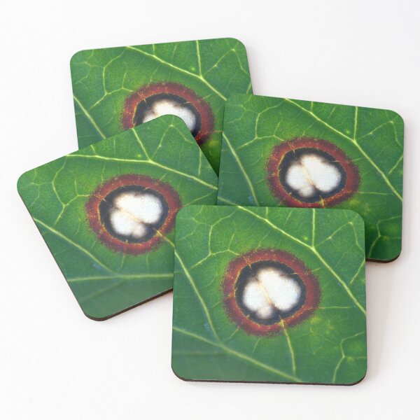 Item preview, Wild Infected Hibiscus Leaf Wound Microscope Photo (Real) designed and sold by Petalgrain.