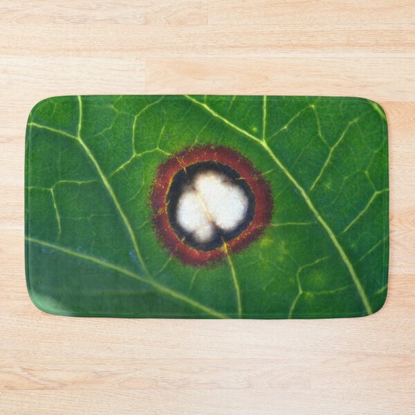 Item preview, Wild Infected Hibiscus Leaf Wound Microscope Photo (Real) designed and sold by Petalgrain.