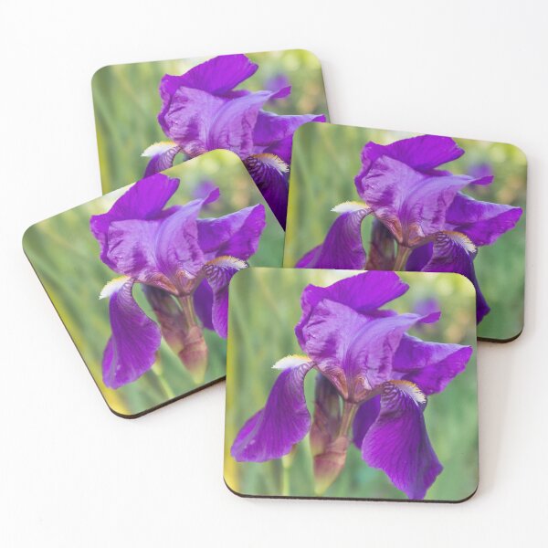Item preview, Bearded iris designed and sold by PariSeine.