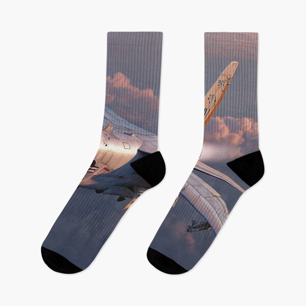Item preview, Supersonic Sentinel designed and sold by Skyframe Aviation.