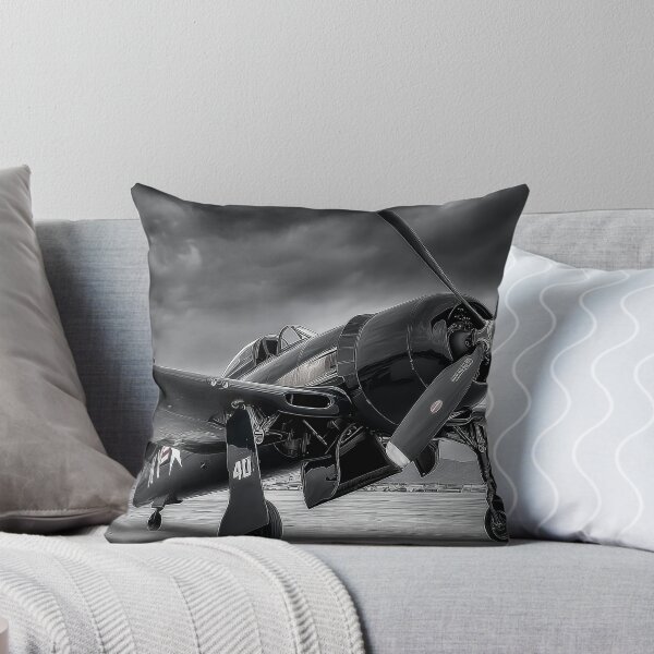 Item preview, Warbird in Waiting designed and sold by Skyframe Aviation.