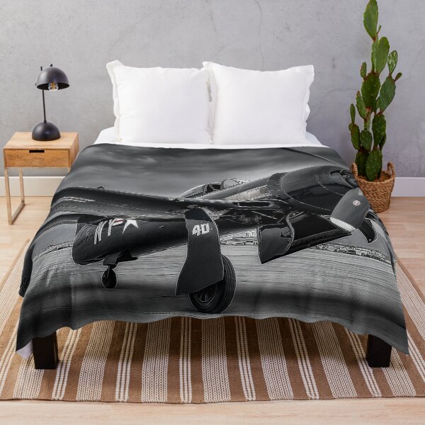 Item preview, Warbird in Waiting designed and sold by Skyframe Aviation.