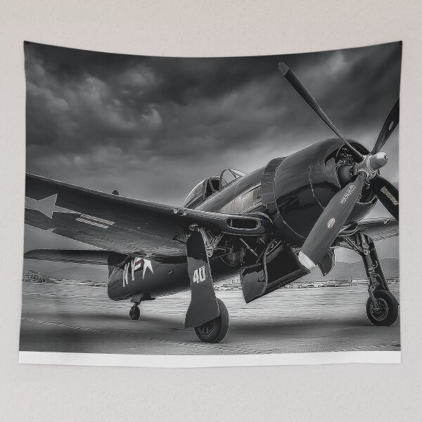 Item preview, Warbird in Waiting designed and sold by Skyframe Aviation.